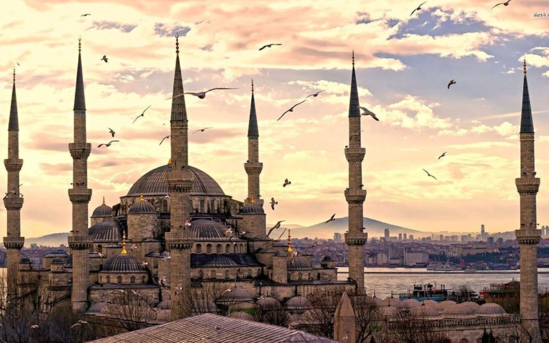 turkey cover pic